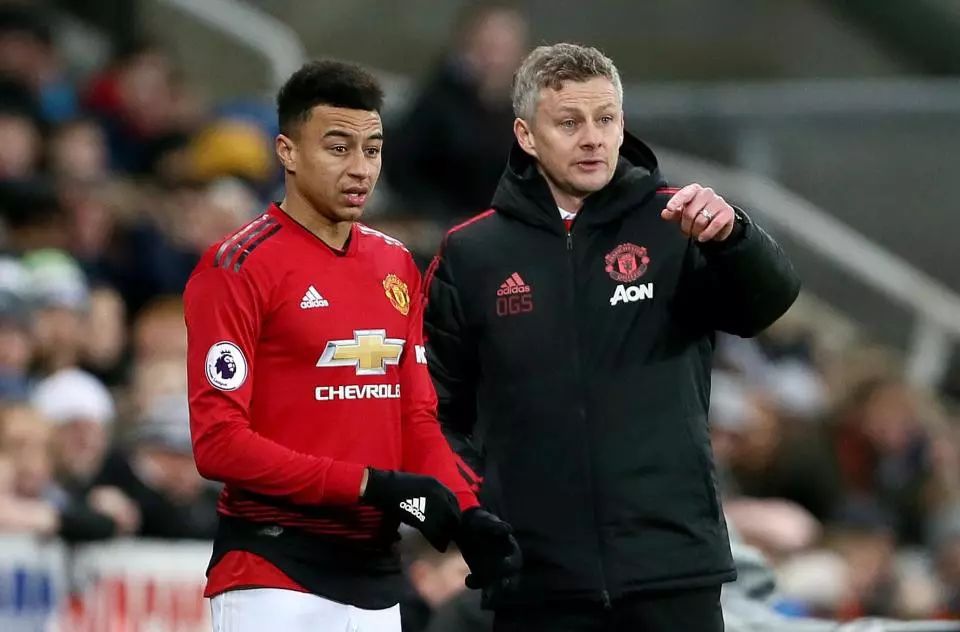 国家队选择 国家队选择